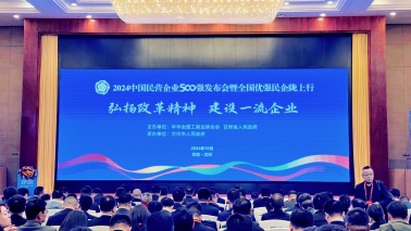 海王集團位列2024中國民營企業(yè)500強第240位，2024中國制造業(yè)民營企業(yè)500強第168位