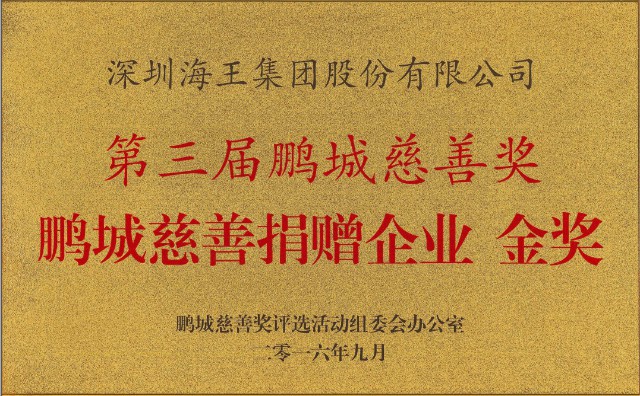 7第三屆鵬城慈善獎(jiǎng)—企業(yè)金獎(jiǎng).jpg