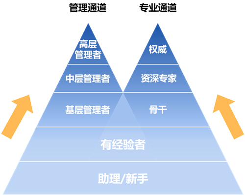 晉升雙通道發(fā)展機制_副本.png